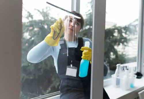 Nettoyage de vitres intérieures et extérieures à Rozier-en-Donzy